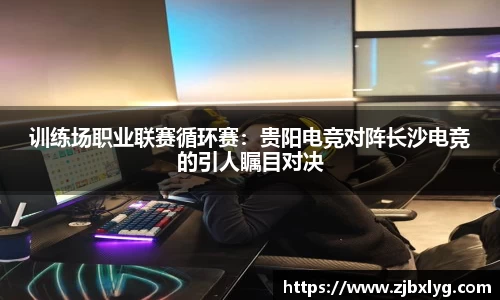 球速体育官网