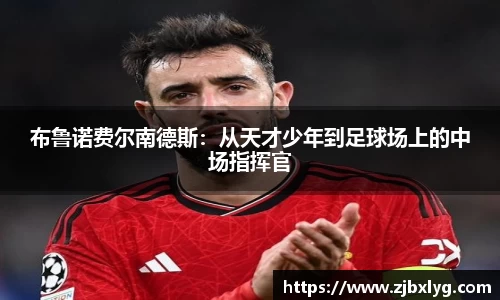 球速体育平台