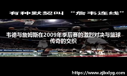 球速体育平台