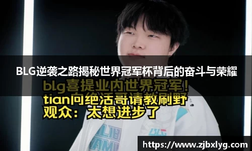 球速体育平台
